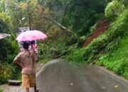 Hujan Deras, Sejumlah Titik Jalan Menuju Batusangkar Ditutupi Longsor