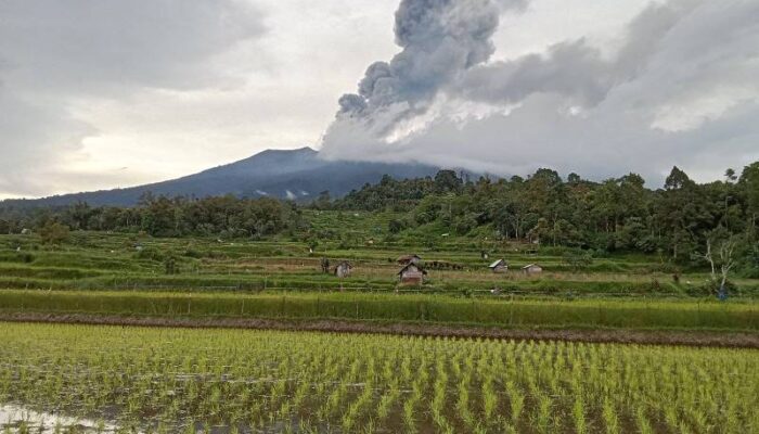 Gempa Hembusan Marapi 35 Kali dalam Sehari