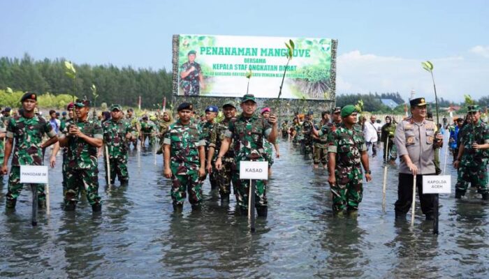 64.500 Bibit Mangrove Ditanam di Aceh