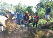 Sejumlah Pohon Tumbang dan Timpa Rumah Warga