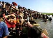 Bupati Aceh Barat Terbitkan SK Penanganan Pengungsi Rohingya