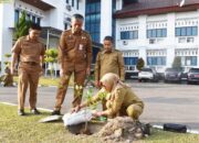 Halaman Balaikota Pariaman Ditanami Jeruk Gunung Omeh