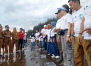 Penyu Maskot Kota Padang, 355 Tukik Dilepas