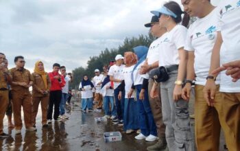 Penyu Maskot Kota Padang, 355 Tukik Dilepas